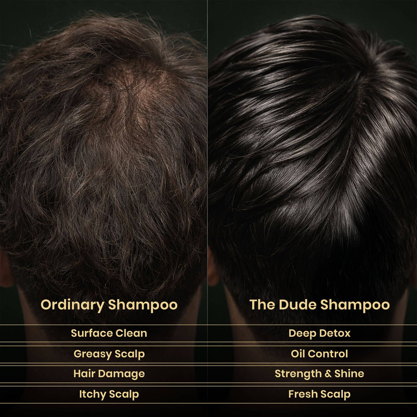 THE DUDE Activated Charcoal Detox Hair Shampoo – Deep Cleanse & Oil Control | 200 ml